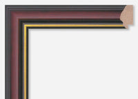 Custom Picture Frame CFSX800-425