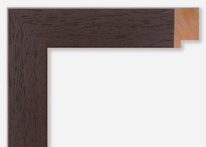 Custom Picture Frame CFSX800-515