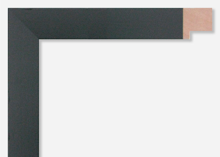 Custom Picture Frame CFSX800-545