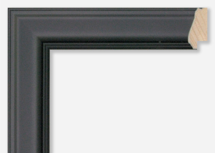 Custom Picture Frame CFSX800-560