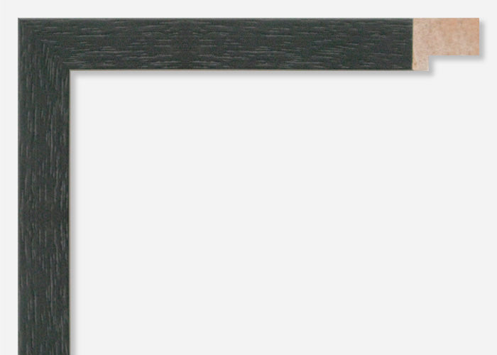 Custom Picture Frame CFSX800-570
