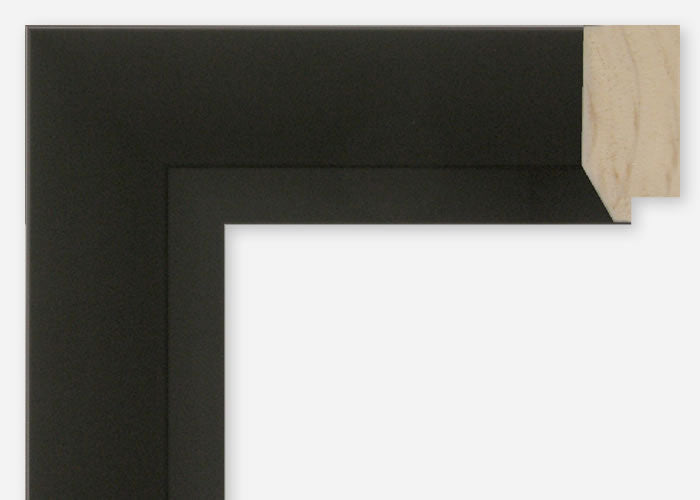 Custom Picture Frame CFSX800-575