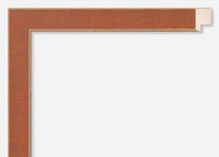 Custom Picture Frame CFSX800-590