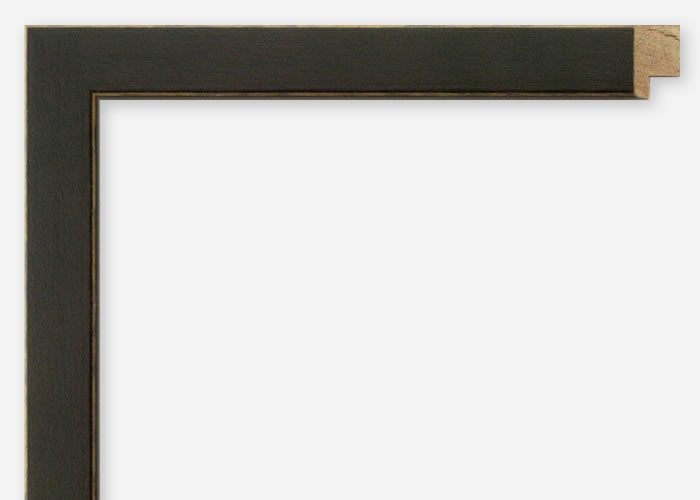 Custom Picture Frame CFSX800-595