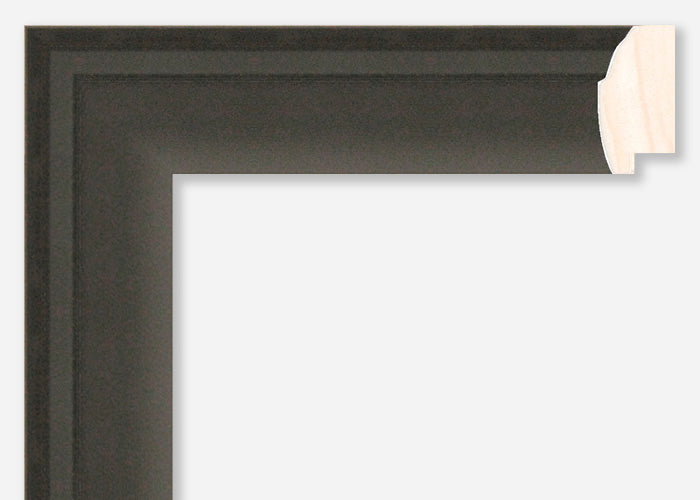 Custom Picture Frame CFSX800-805