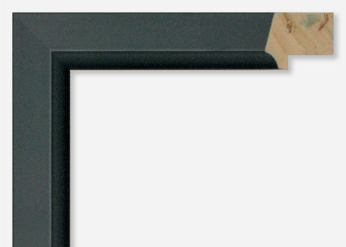 Custom Picture Frame CFSX800-820