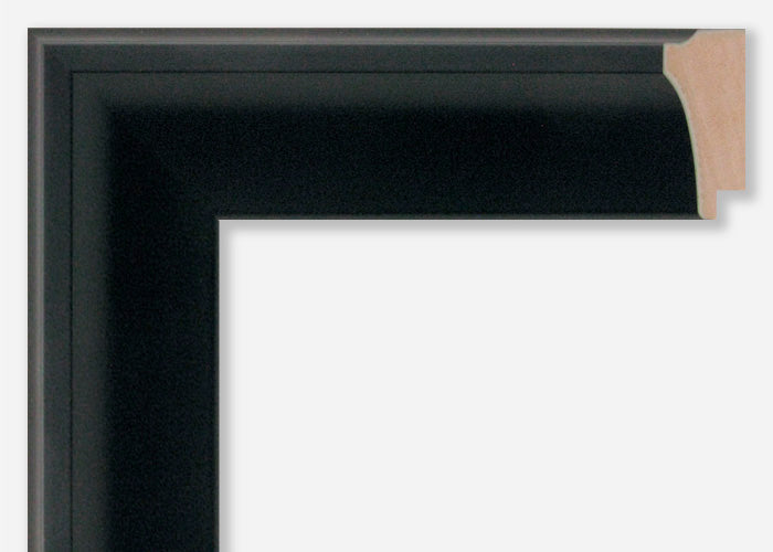 Custom Picture Frame CFSX800-870
