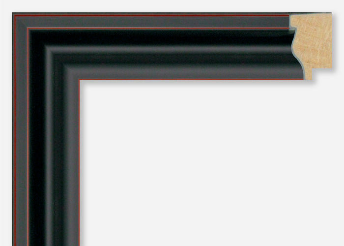Custom Picture Frame CFSX800-880