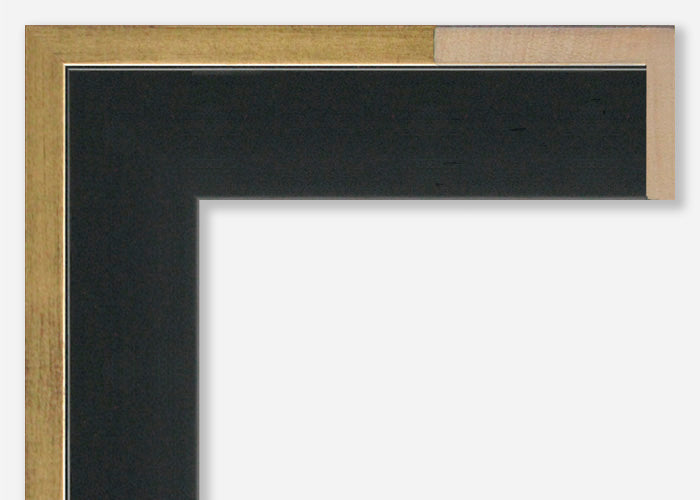 Custom Canvas Floater Frame CFSX805-100x