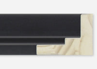 Custom Step Floater Frame CFSX805-370