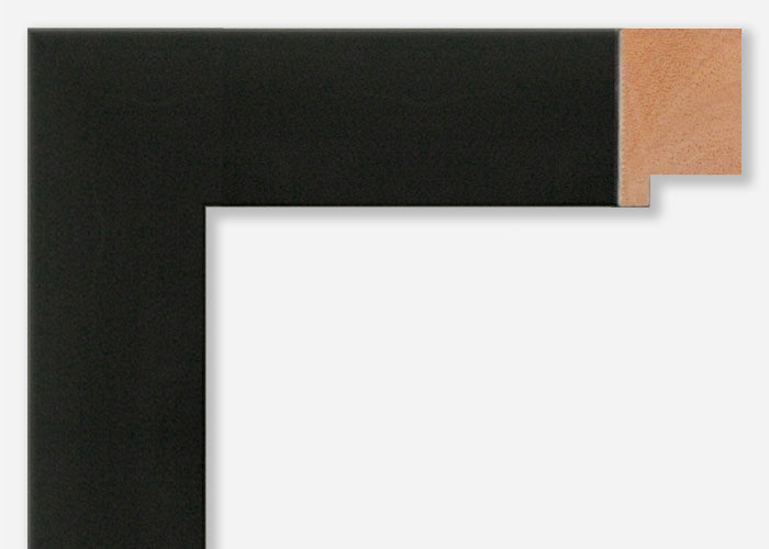 Custom Picture Frame CFSX805-45
