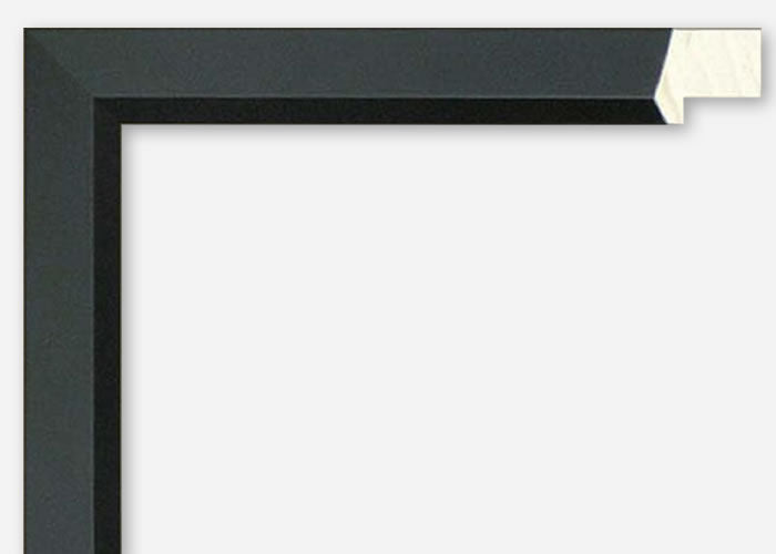 Custom Picture Frame CFSX855-65
