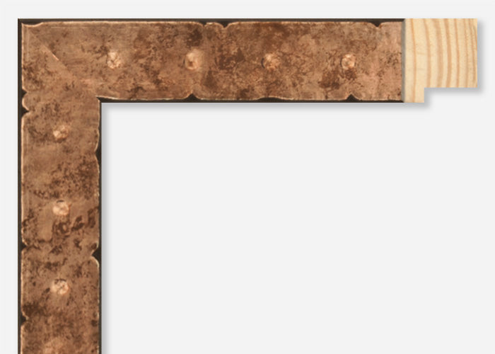 Custom Picture Frame CFSZ8727