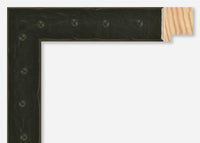Custom Picture Frame CFSZ8729
