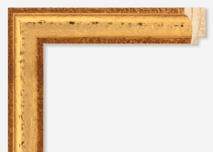 Custom Picture Frame CFSZ8795