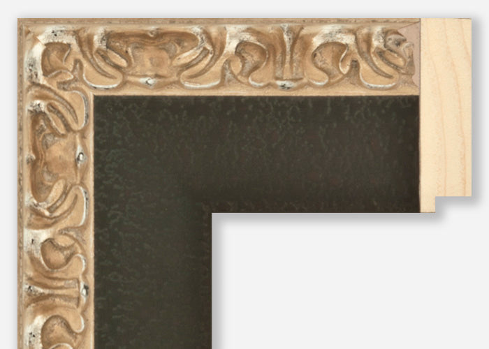 Custom Picture Frame CFSZ8800