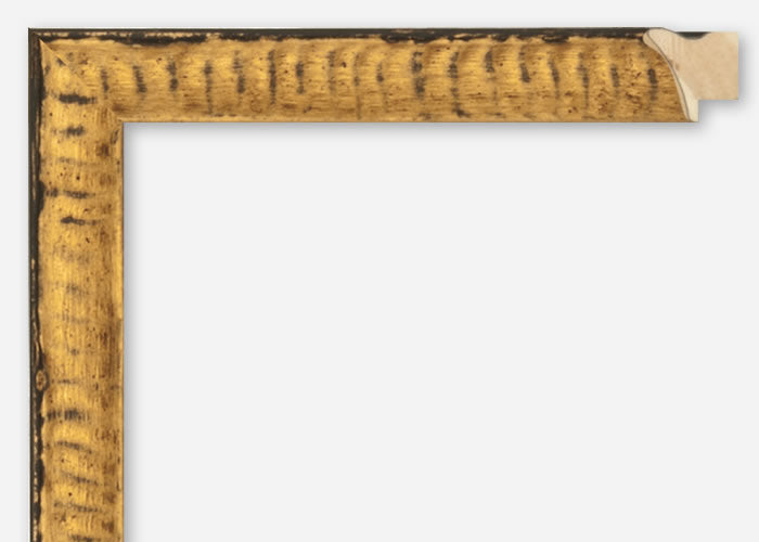 Custom Picture Frame CFSZ8831