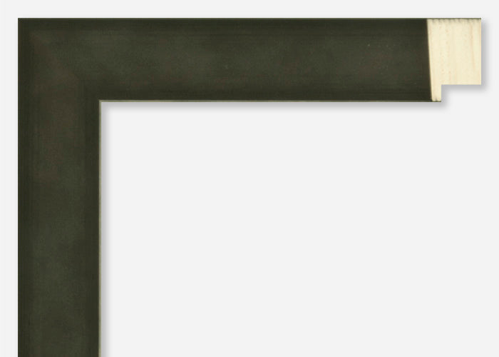 Custom Picture Frame CFSZ8865