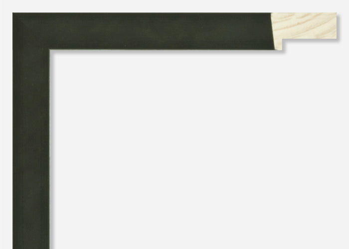 Custom Picture Frame CFSZ8867