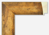 Custom Picture Frame CFSZ8965