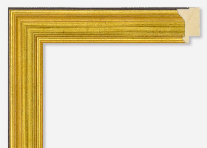 Custom Picture Frame CFSX920-35