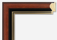 Custom Picture Frame CFSZ9361