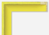 Custom Canvas Floater Frame CFSYB976