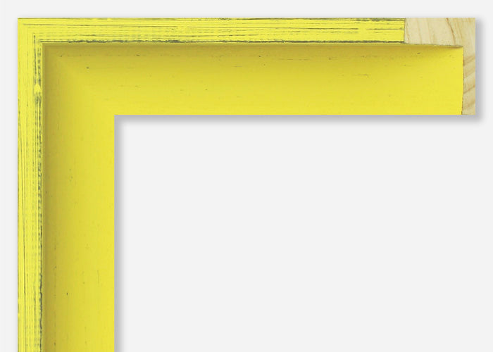 Custom Canvas Floater Frame CFSYB976