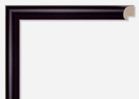 Custom Picture Frame CFSYBG910