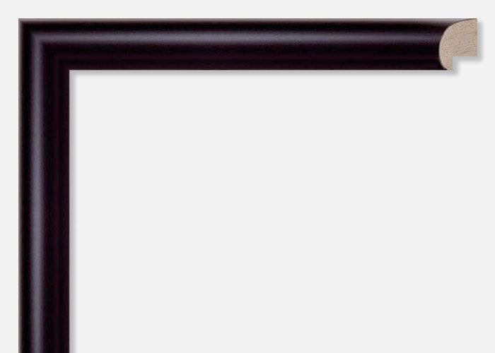 Custom Picture Frame CFSYBG910