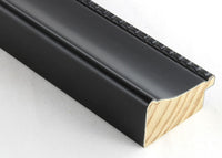 Custom Picture Frame CFSX300-155