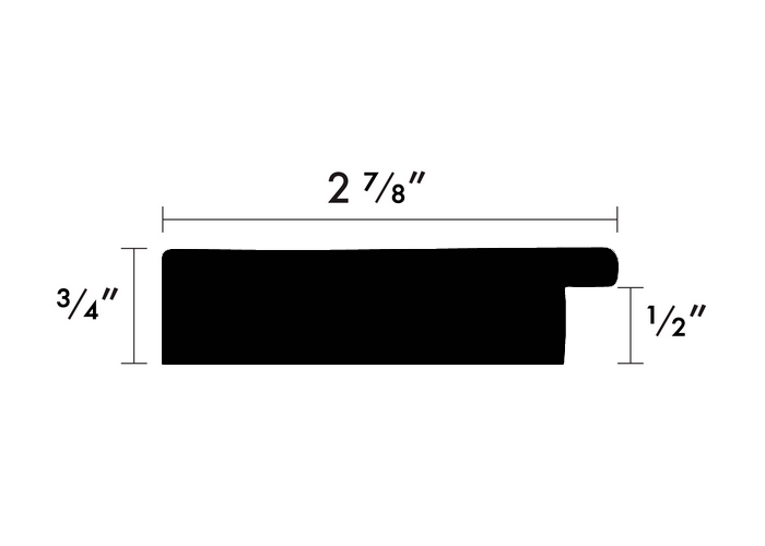 Custom Picture Frame CFSX1410-25x