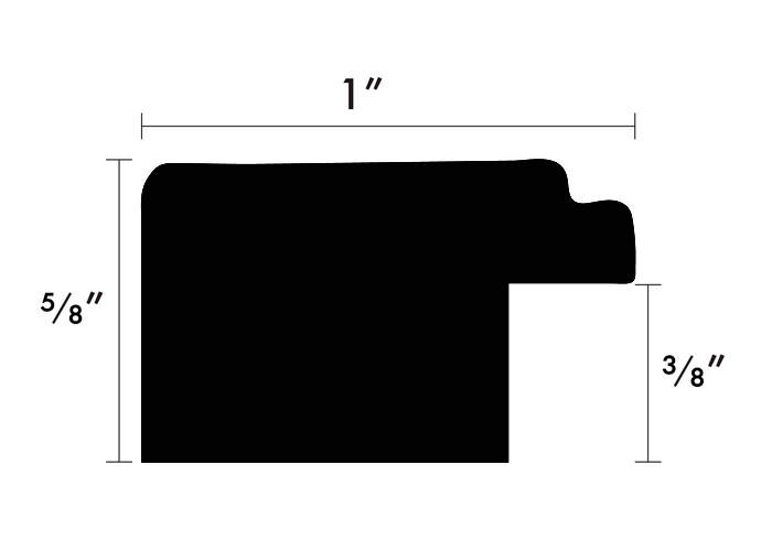 Custom Picture Frame CFSX2410-20