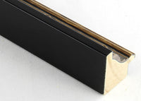 Custom Picture Frame CFSX300-660