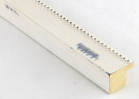 Custom Picture Frame CFSX305-900