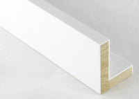 Custom Canvas Floater Frame CFSYP1711