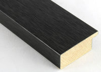 Custom Picture Frame CFSYW3017
