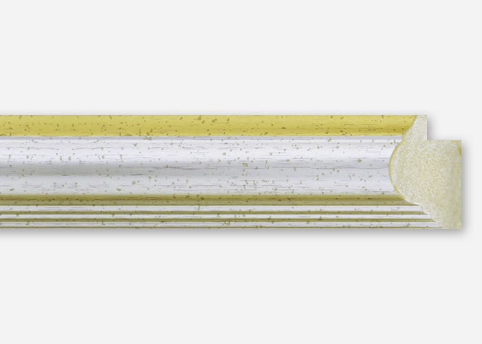 Custom Picture Frame CFSYEC109x