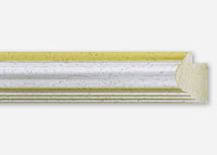 Custom Picture Frame CFSYEC109x