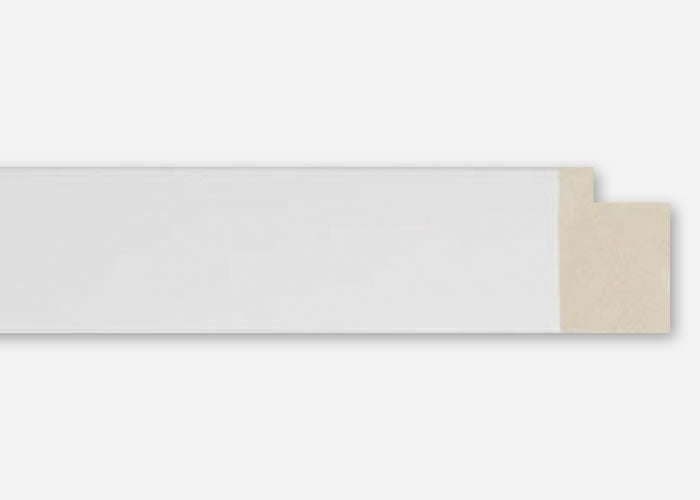 Custom Picture Frame CFSYEC2111x