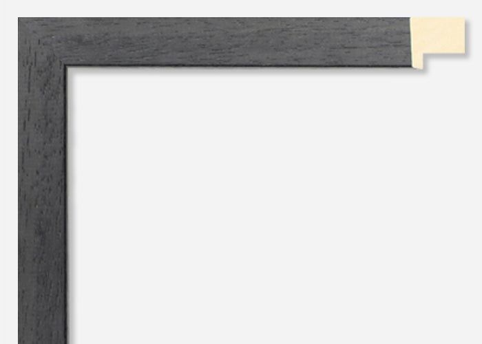 Custom Picture Frame CFSYG1005