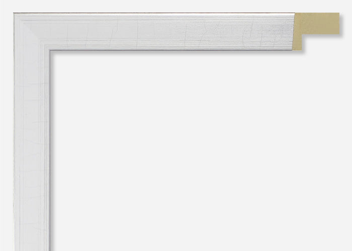 Custom Picture Frame CFSYG1608