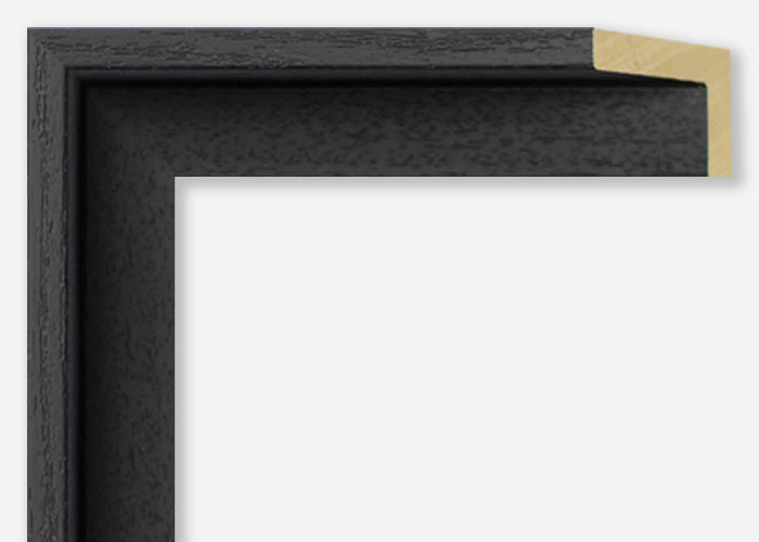 Custom Canvas Floater Frame CFSYG3010