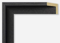 Custom Canvas Floater Frame CFSYG3010
