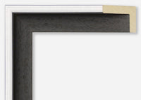 Custom Canvas Floater Frame CFSYG3508