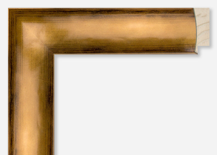 Custom Picture Frame CFSYH5102
