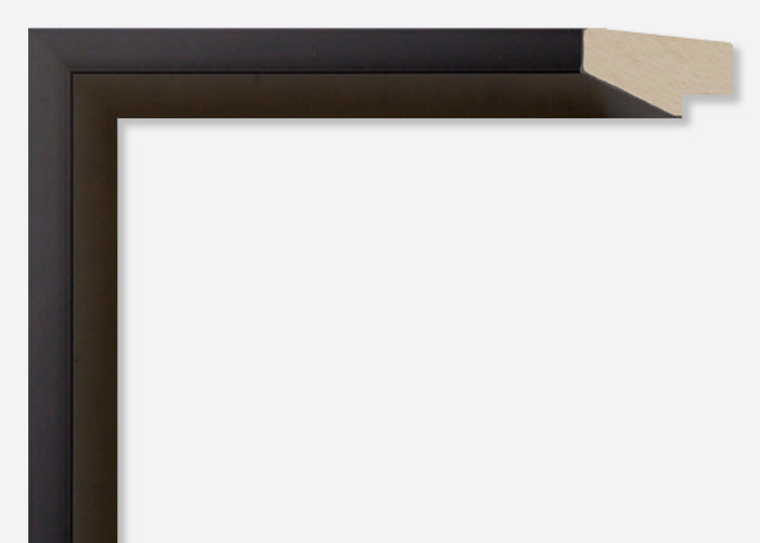Custom Picture Frame CFSYN2620