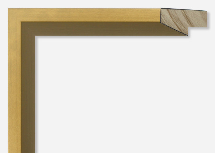 Custom Picture Frame CFSYN2707