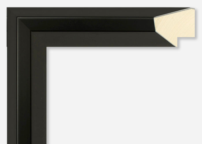 Custom Picture Frame CFSYN4520