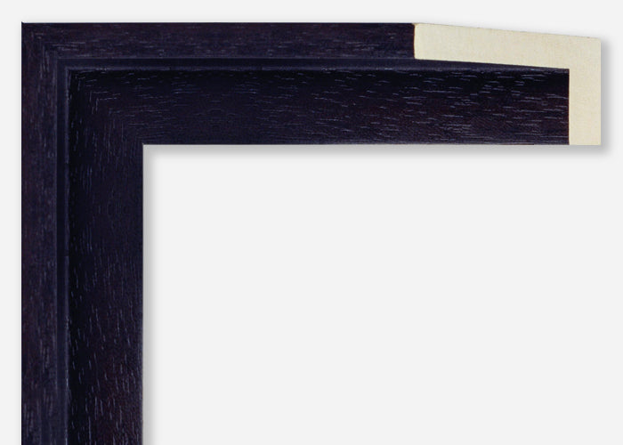 Custom Canvas Floater Frame CFSYP1705